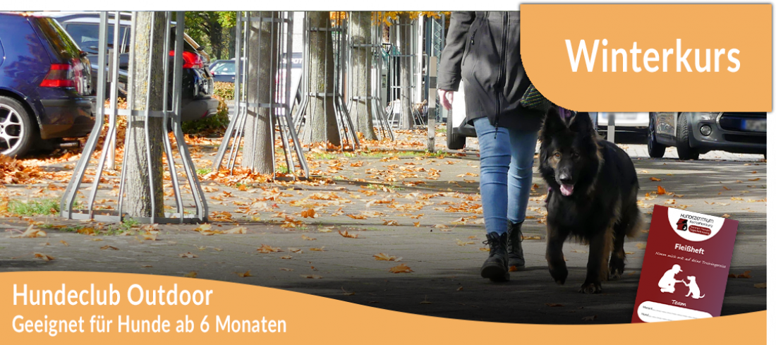 Hundeclub Outdoor - Winterkurs