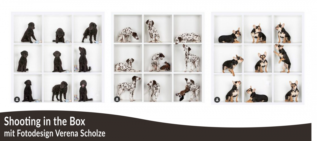Fotoshooting: Shooting in a Box