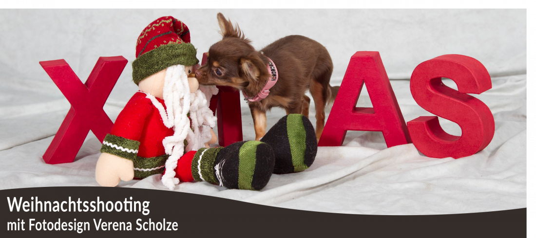 Fotoshooting: Weihnachten