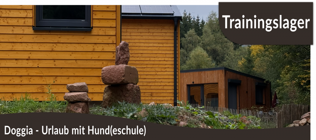 Trainingslager: Doggia - Urlaub mit Hund(eschule) in der Rhön