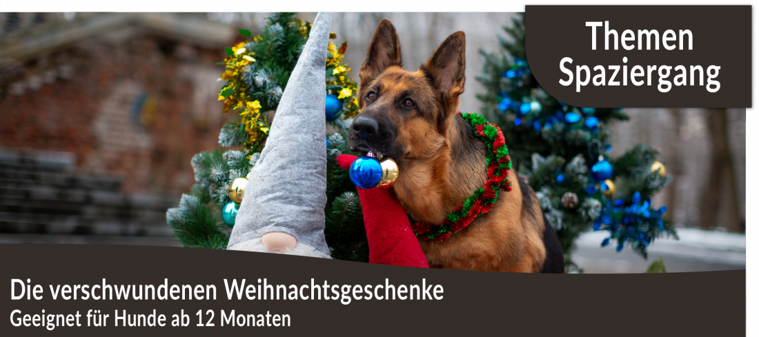 Themenspaziergang: Die verschwundenen Weihnachtsgeschenke