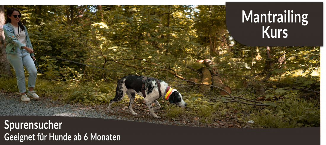 Mantrailing-Kurs: Spurensucher
