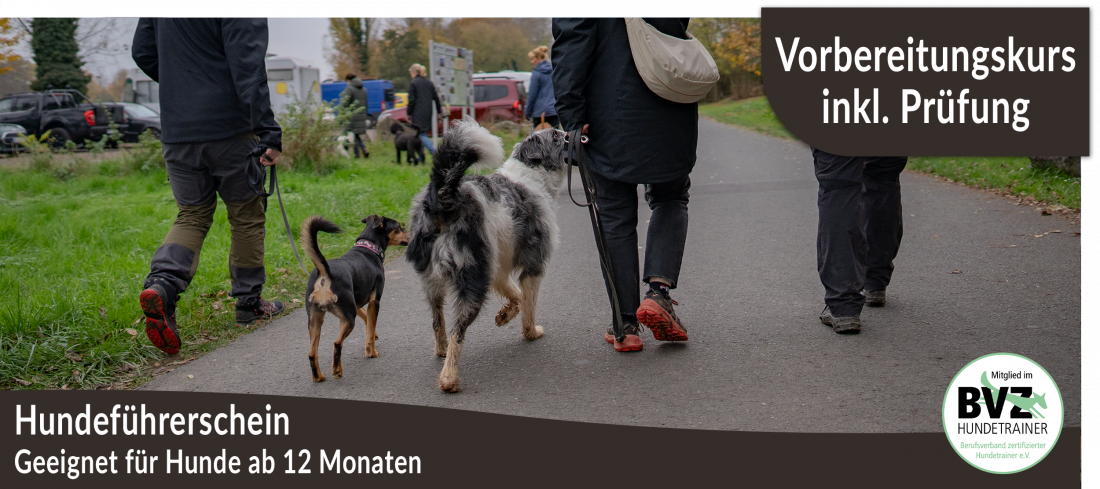 Hundeführerschein Vorbereitungskurs
