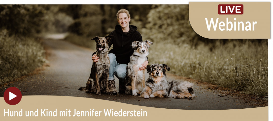 Webinar: Hund und Kind mit Jennifer Wiederstein