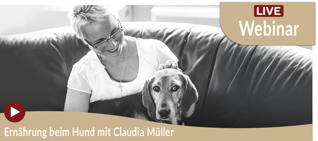 Webinar: Fütterungszeit - Verstehen warum Ernährung so wichtig ist mit Claudia Müller