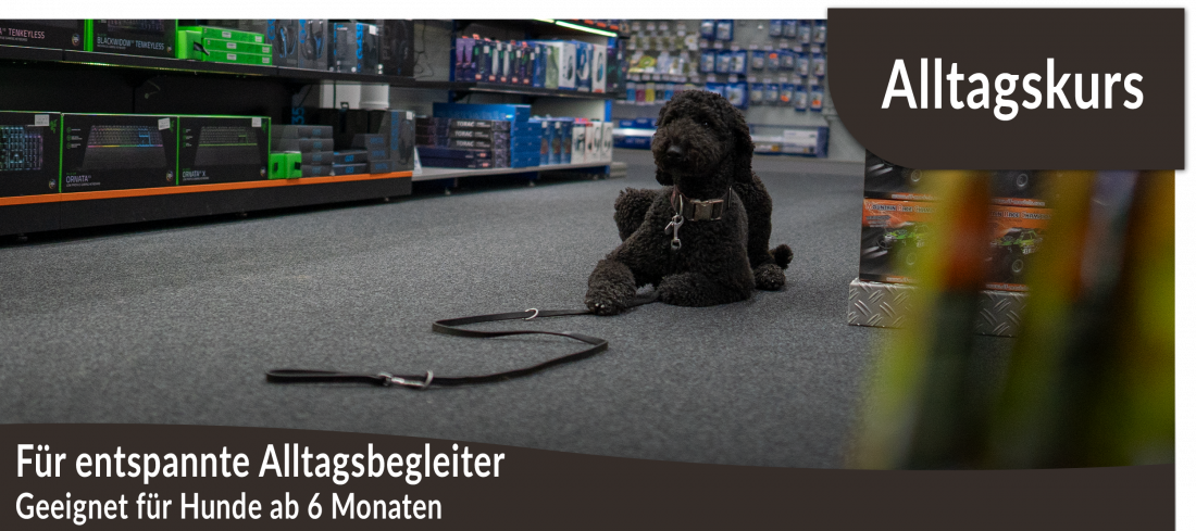 Alltagskurs: Training für entspannte Alltagsbegleiter