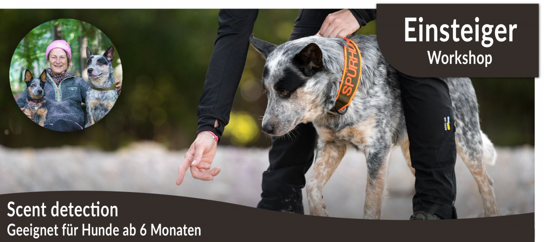 Einsteigerworkshop: Scent Detection mit Swantje Krebs (halbtags)