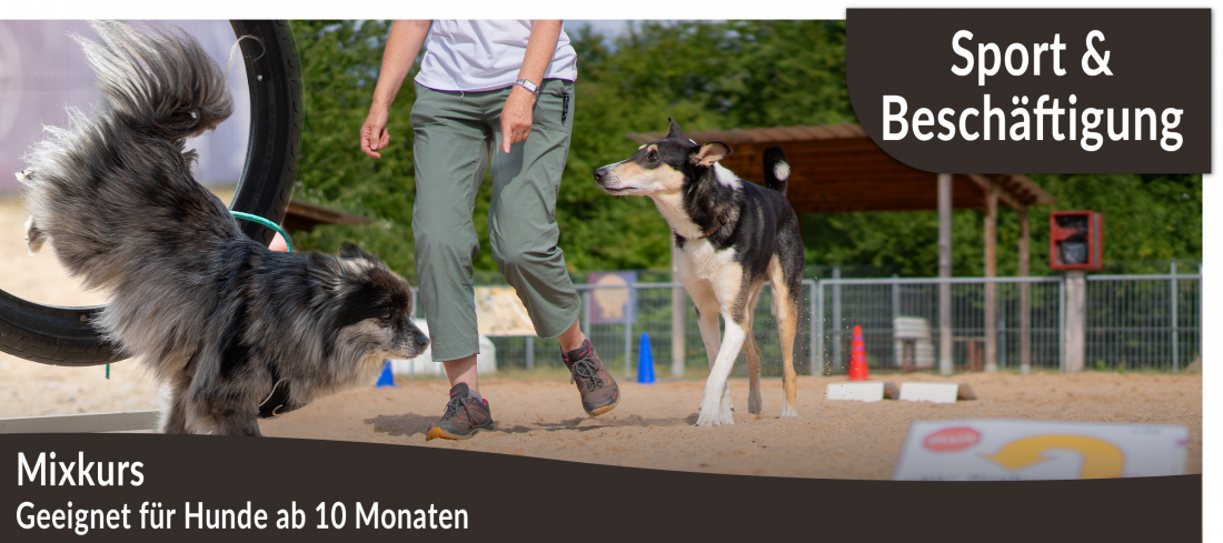Hundesport Mixkurs