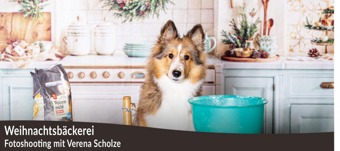 Fotoshooting: Weihnachtsbäckerei