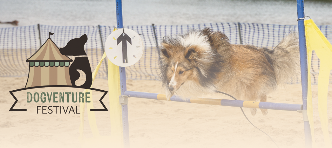 Dogventure Festival