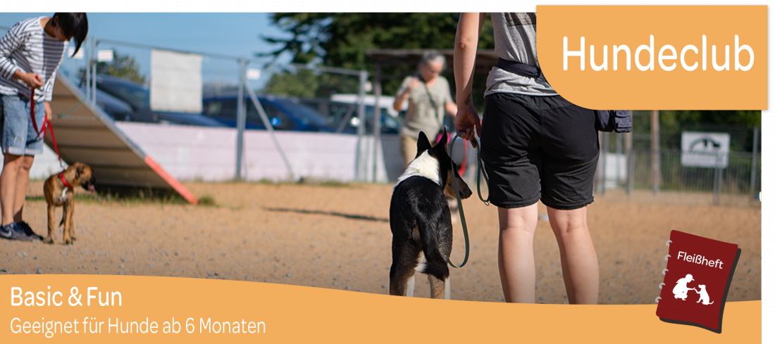 Hundeclub: Basic and Fun