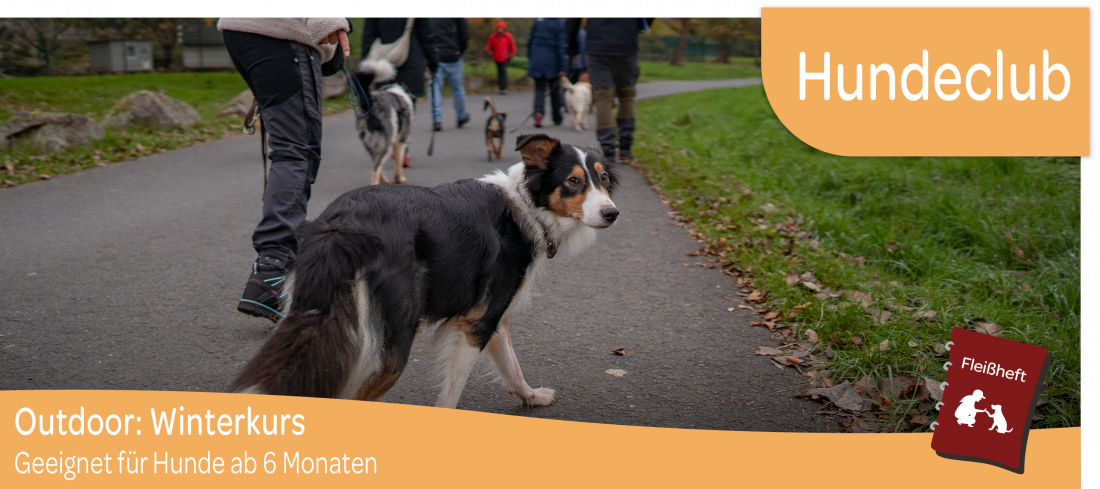 Hundeclub Outdoor - Winterkurs
