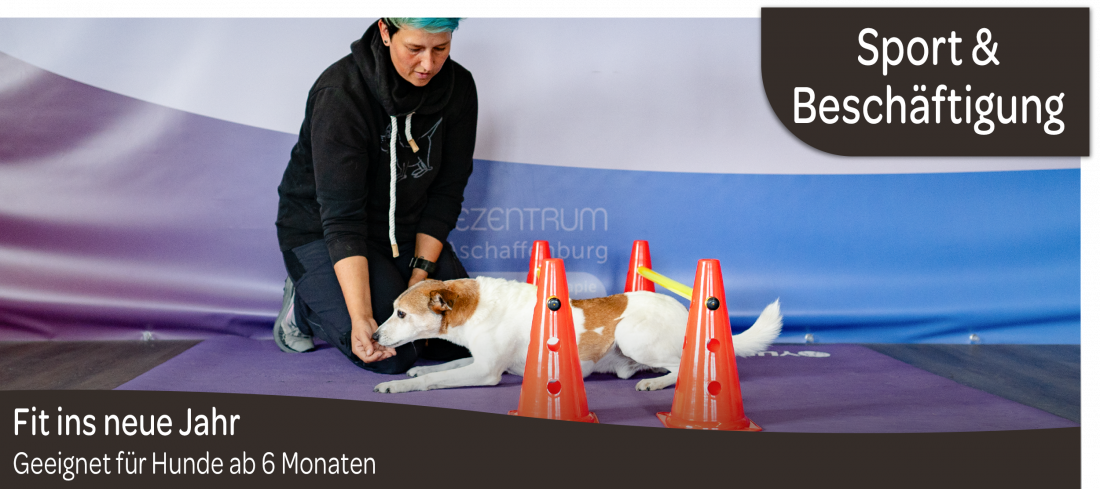 Fit ins neue Jahr